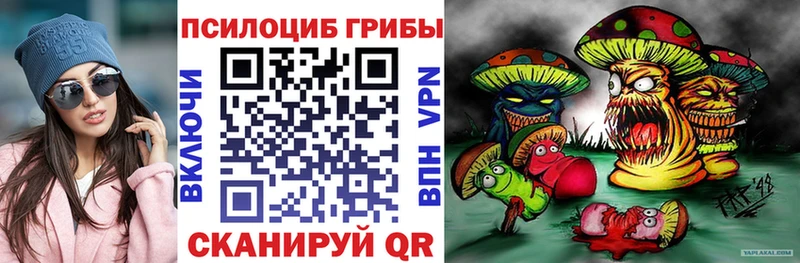 Галлюциногенные грибы ЛСД  купить закладку  hydra ТОР  Похвистнево 