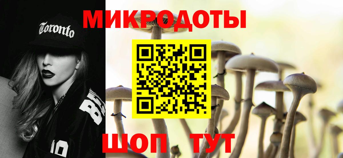 Галлюциногенные грибы Cubensis Похвистнево
