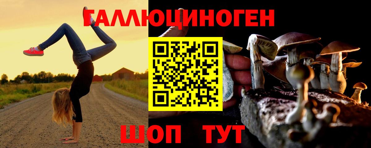 Галлюциногенные грибы Cubensis  Вход с VPN  Похвистнево 